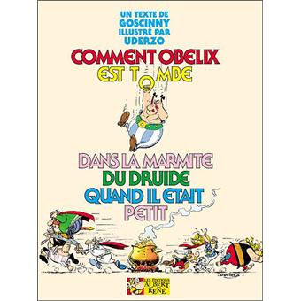 Comment-Obelix-est-tombe-dans-la-marmite-du-druide-quand-il-etait-petit.jpg