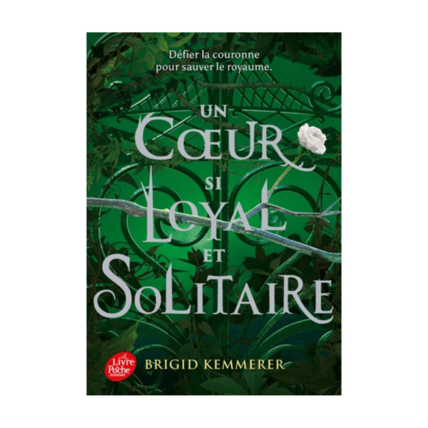 Design sans titre - 2024-06-04T140809.457