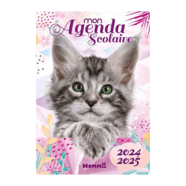 Design sans titre - 2024-07-01T171249.576