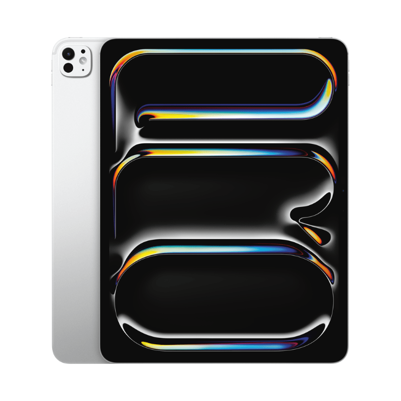 iPad Pro 13" WiFi 256 Go with Standard glass - Silver