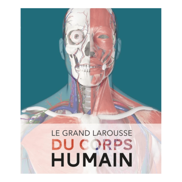 Design sans titre - 2024-07-31T164652.686