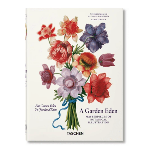 Design sans titre - 2024-09-24T162825.662