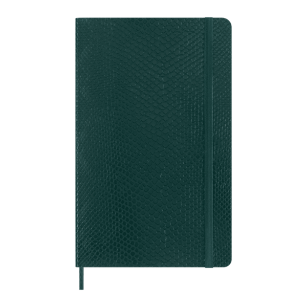 Design sans titre - 2025-01-16T162628.731