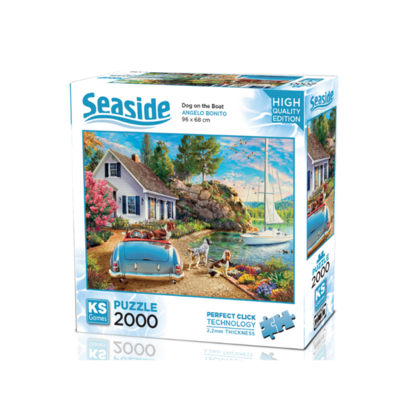 Design sans titre - 2025-01-17T160333.568