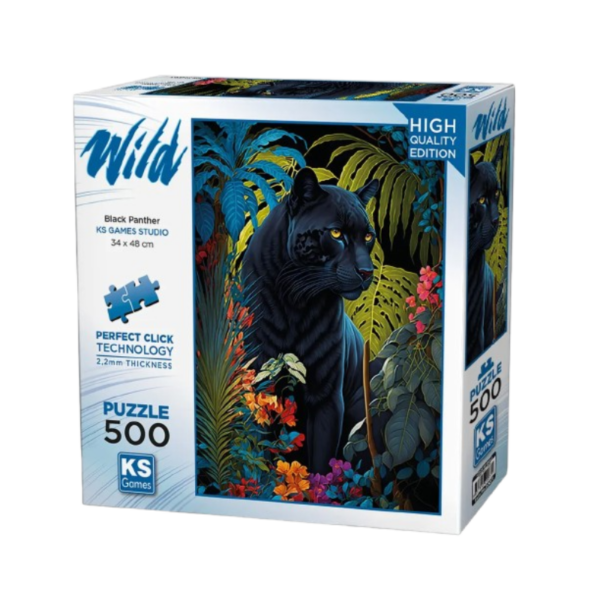 Design sans titre - 2025-01-22T151804.352