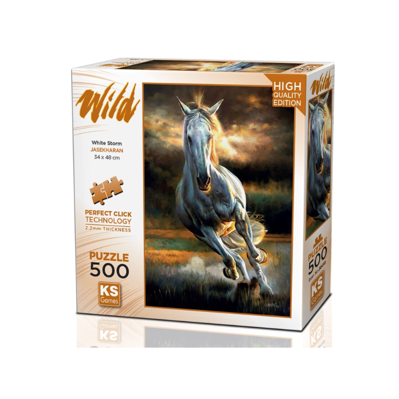 Puzzle White Storm - 500 pièces