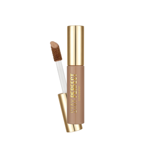 Design sans titre - 2025-02-12T114715.503