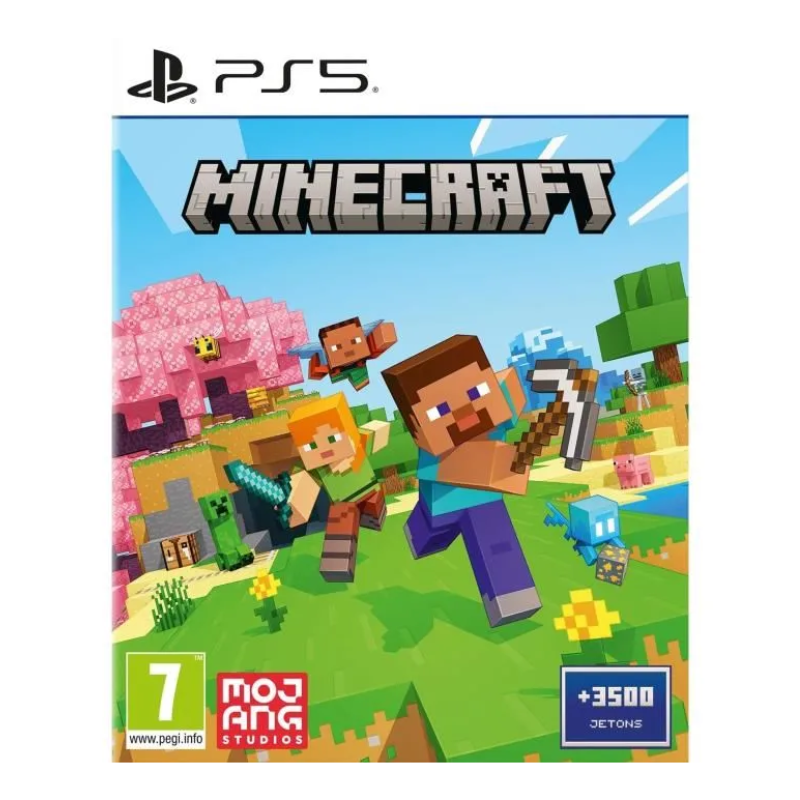 Jeu Minecraft pour PS5