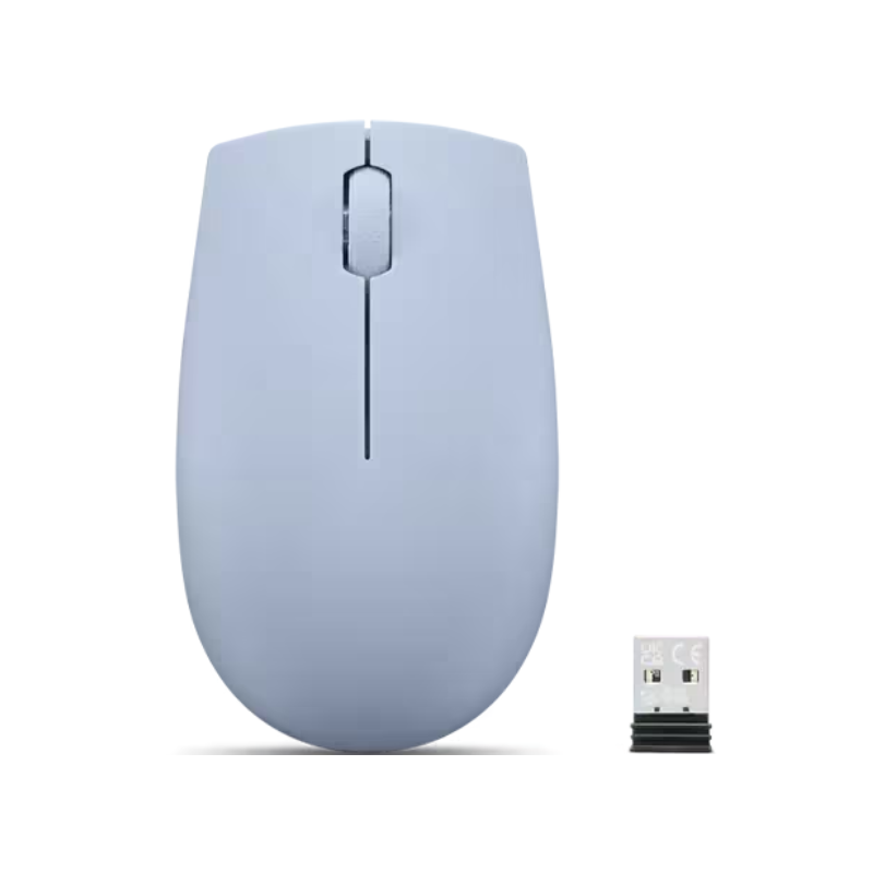 Souris compacte sans fil 300 avec batterie - Frost blue
