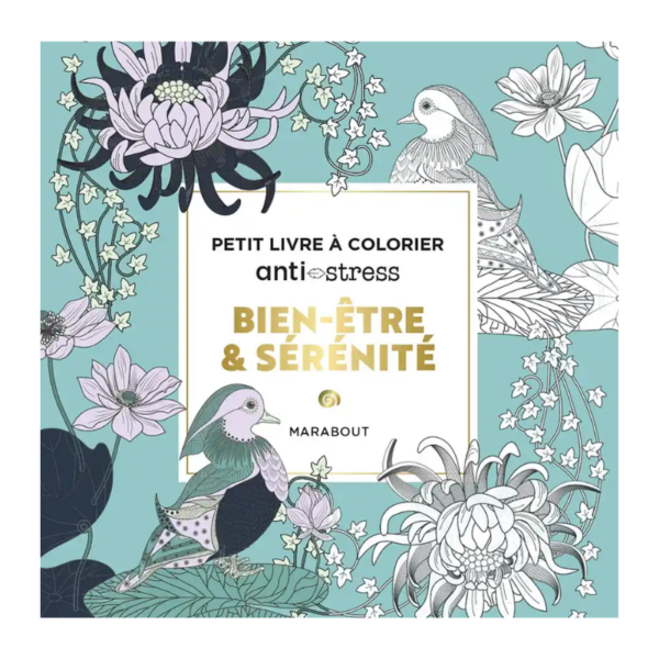 Design sans titre - 2025-03-25T121627.264