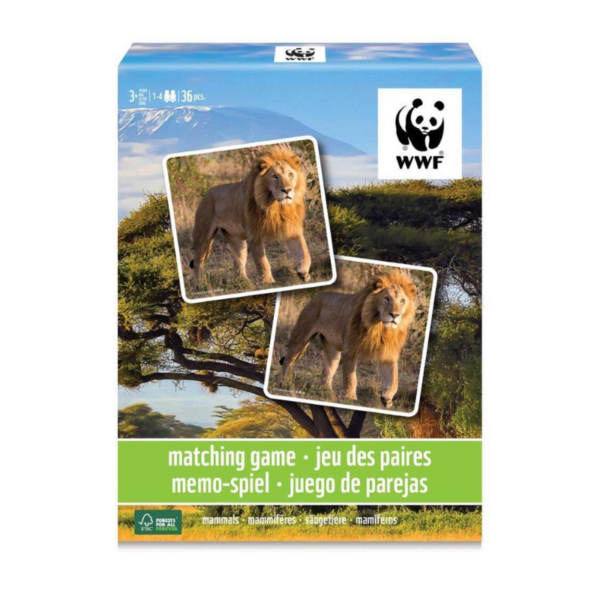 Design sans titre - 2025-06-24T155822.504