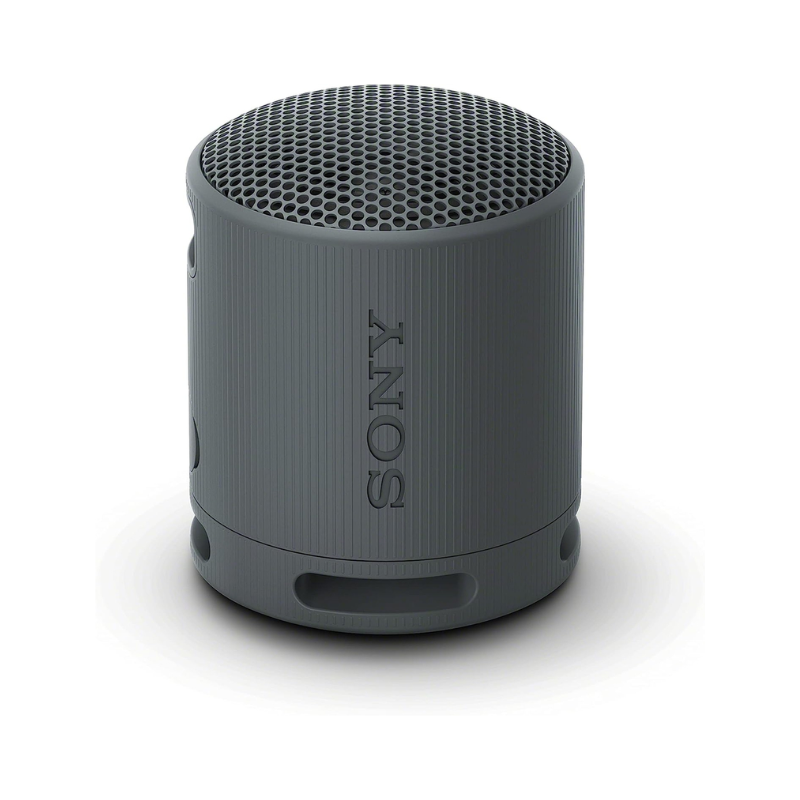Enceinte portable sans fil SRS-XB100 - Noire