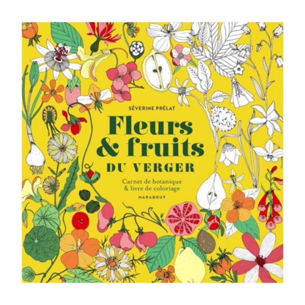 Design sans titre - 2025-10-02T115725.626